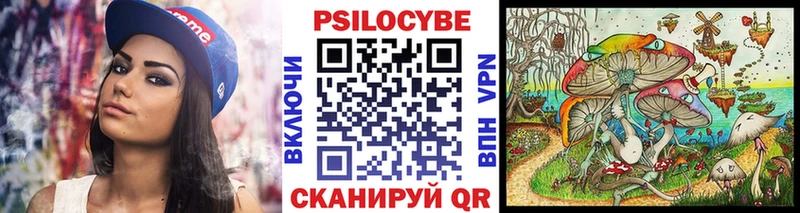закладки  мега онион  Галлюциногенные грибы Cubensis  Удачный 
